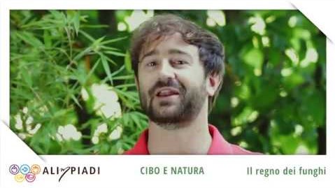 Il regno dei funghi - Cibo e natura - Alimpiadi