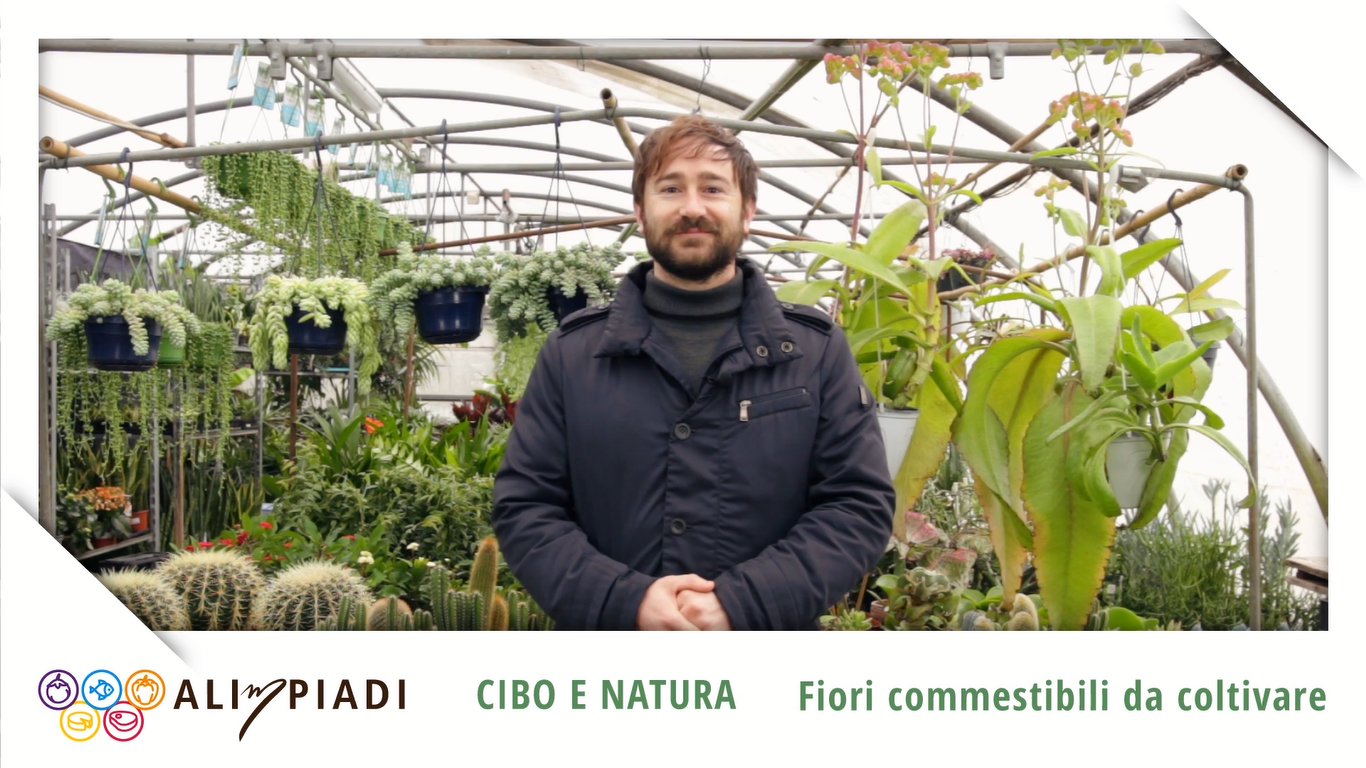 Fiori commestibili da coltivare - Cibo e natura - Alimpiadi